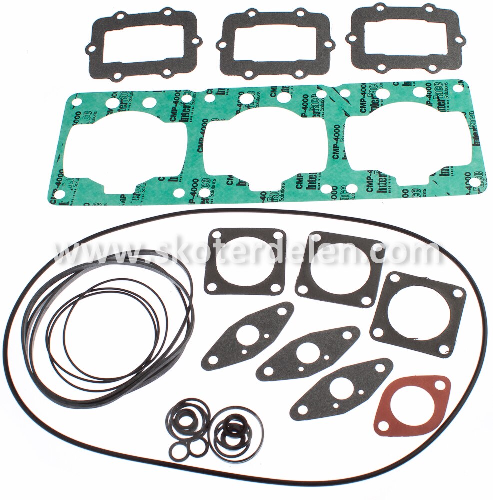 Packningar Ski-Doo 800 (809)