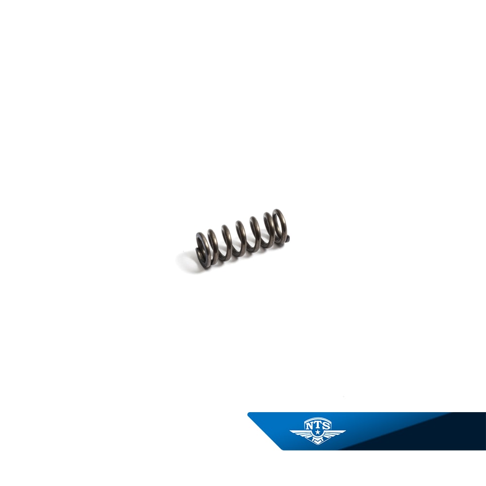 Kopplingsfjäder Sachs