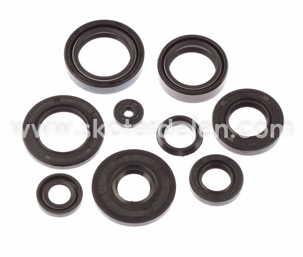 https://www.skoterdelen.com/pub_images/original/17-341-05-packbox-sats-yamaha-dt-fs1-skoterdelen_14172.jpg
