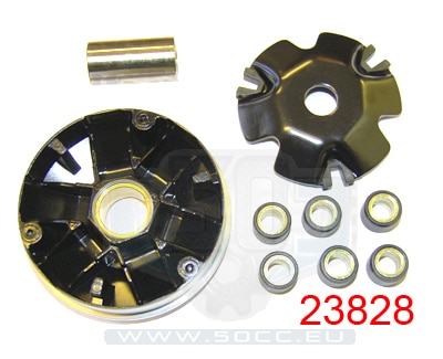 Variator