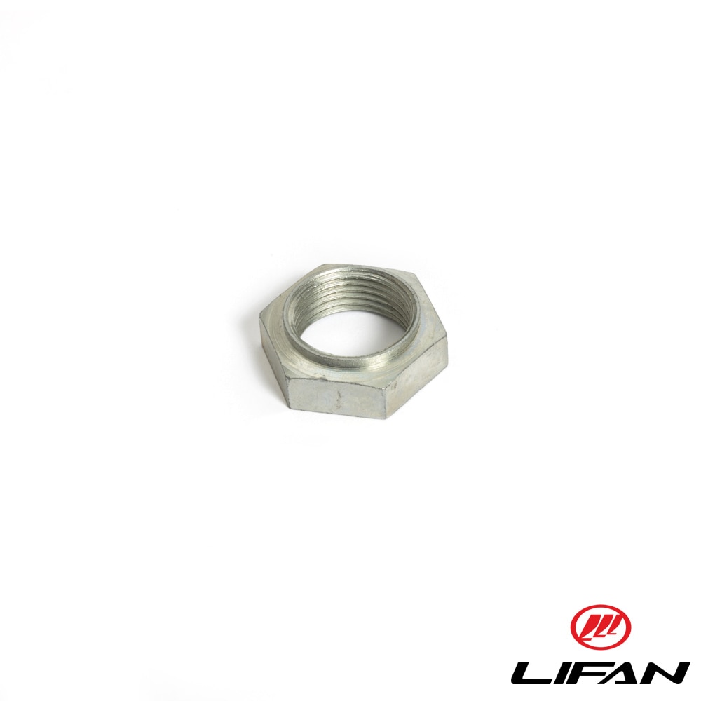 Mutter framdrev Lifan AX-100