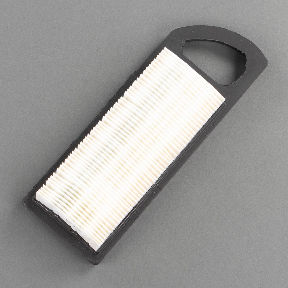 Luftfilter Briggs & Stratton