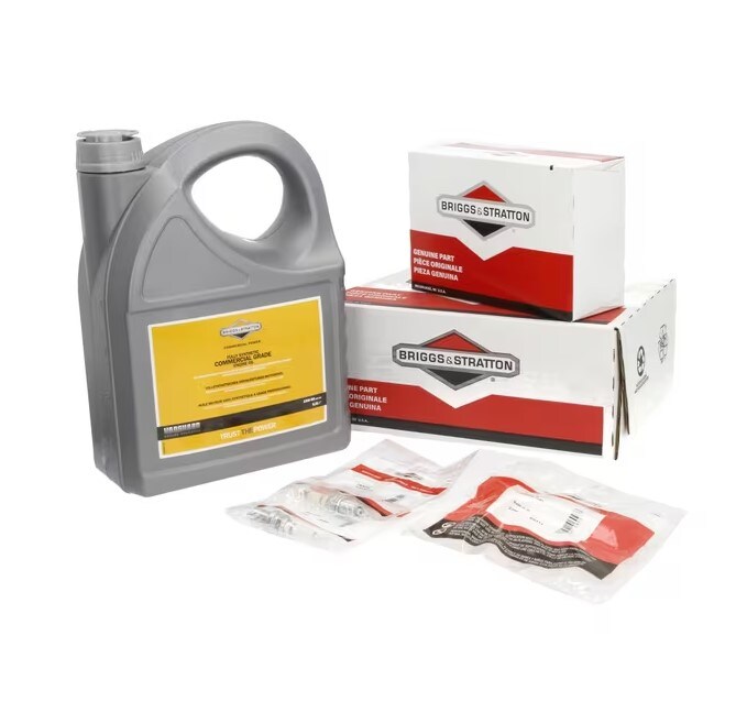 Motorservicesats Briggs & Stratton
